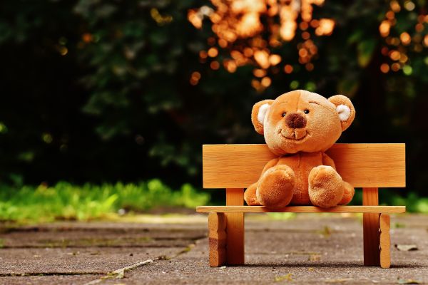 Photograph of a large brown teddy bear on a wooden bench