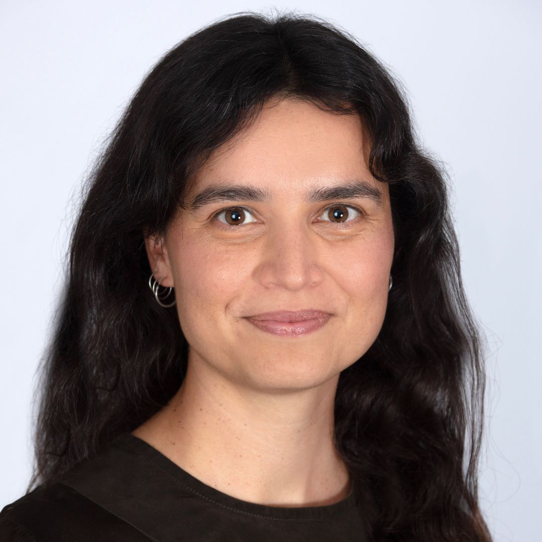 Profile picture of Anila Hasnain