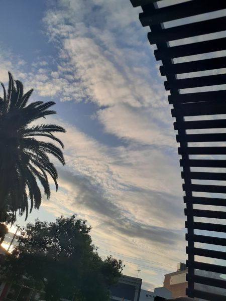 Photo with blue sky and a palm tree