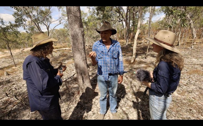 Three people chatting in a bushland setting. One is holding a microphone.